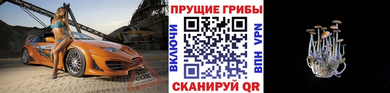 где найти наркотики  Чекалин  KRAKEN как войти  Псилоцибиновые грибы Magic Shrooms 